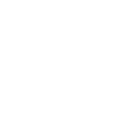 Function icon